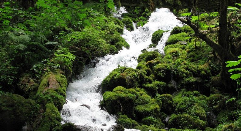 Columbia River Gorge National Scenic Area